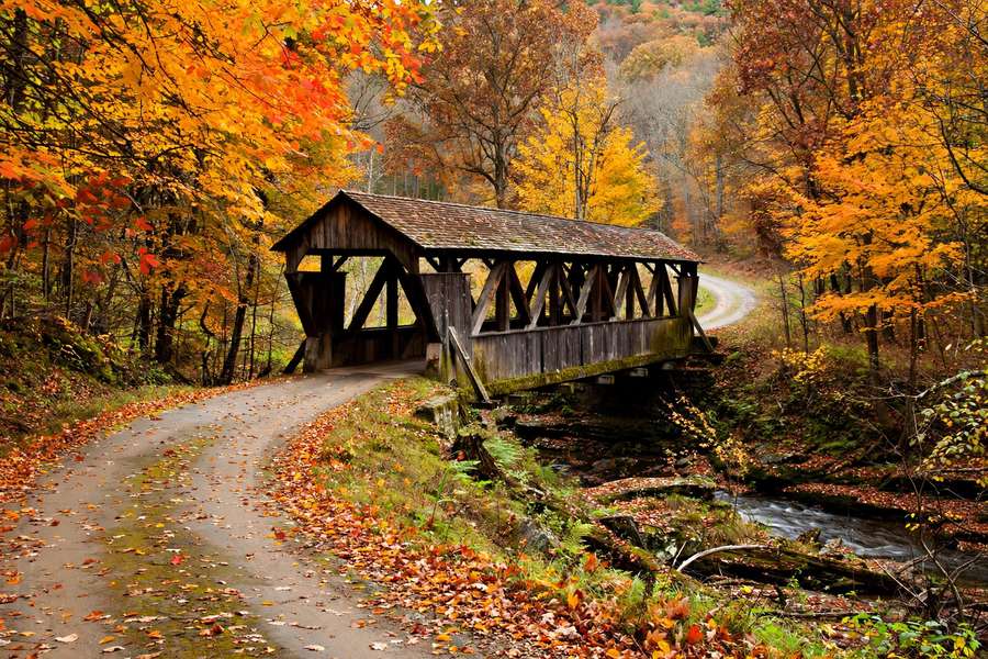 Fall foliage road through New England with covered bridge