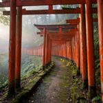 The famous red torii gate tunnels of Fushimi Inari in Kyoto, one of the best places to visit in Japan