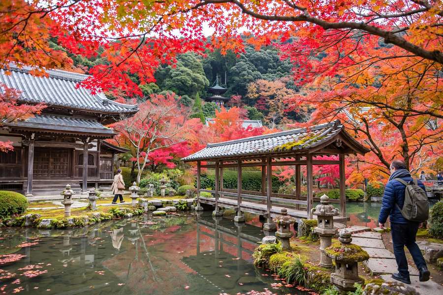 Kyoto Eikando temple with red maple trees autumn
