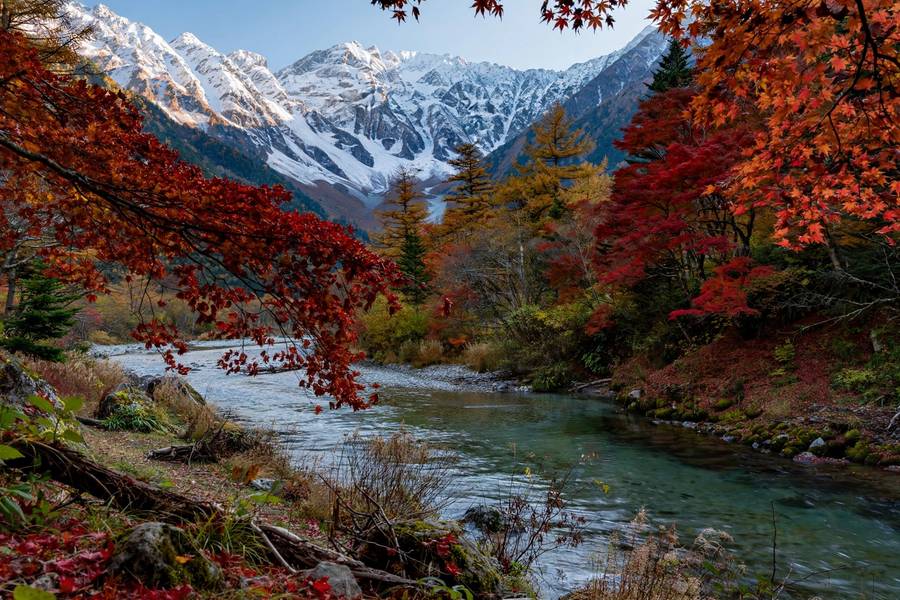 Kamikochi valley with snow peaks and red maples