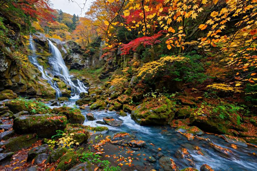 Oirase Gorge waterfalls with autumn forest Japan