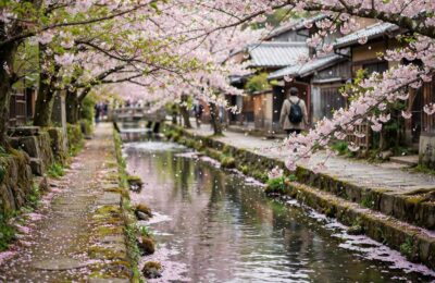 Cherry blossoms along Philosopher's Path canal in Kyoto spring