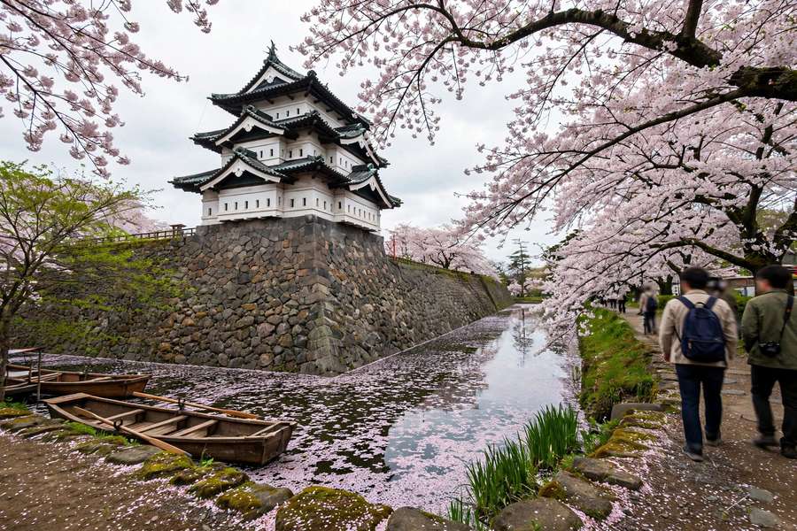Hirosaki Castle with cherry blossom trees and moat Japan