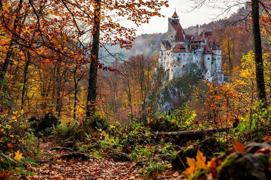 Transylvania Bran Castle surrounded by autumn forest