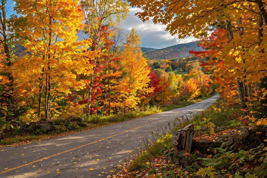 Vermont Route 100 with fall foliage peak color