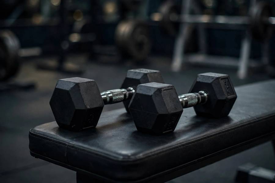 Pair of dumbbells resting on a gym bench before a shoulder workout