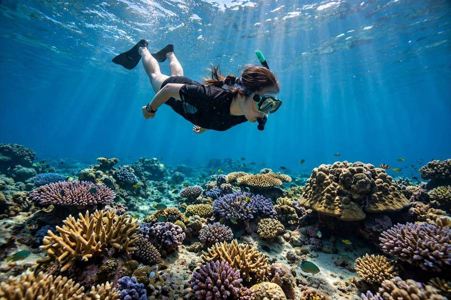 Snorkeling over coral in the Similan Islands, best visited during Thailand's dry cool season