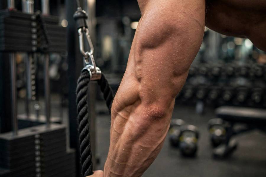 Close-up of triceps during a rope pushdown