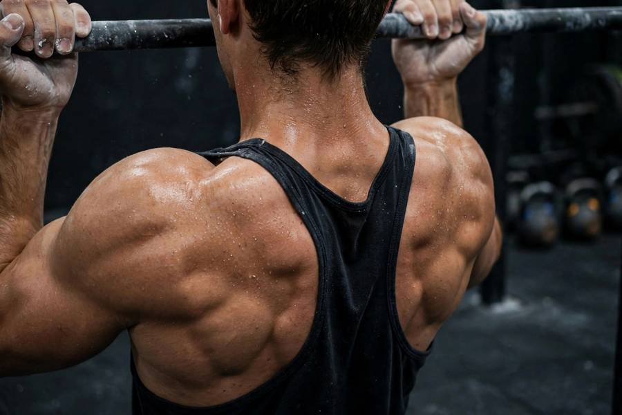 Close-up of a lifter's upper back showing depressed shoulder blades during a pull-up