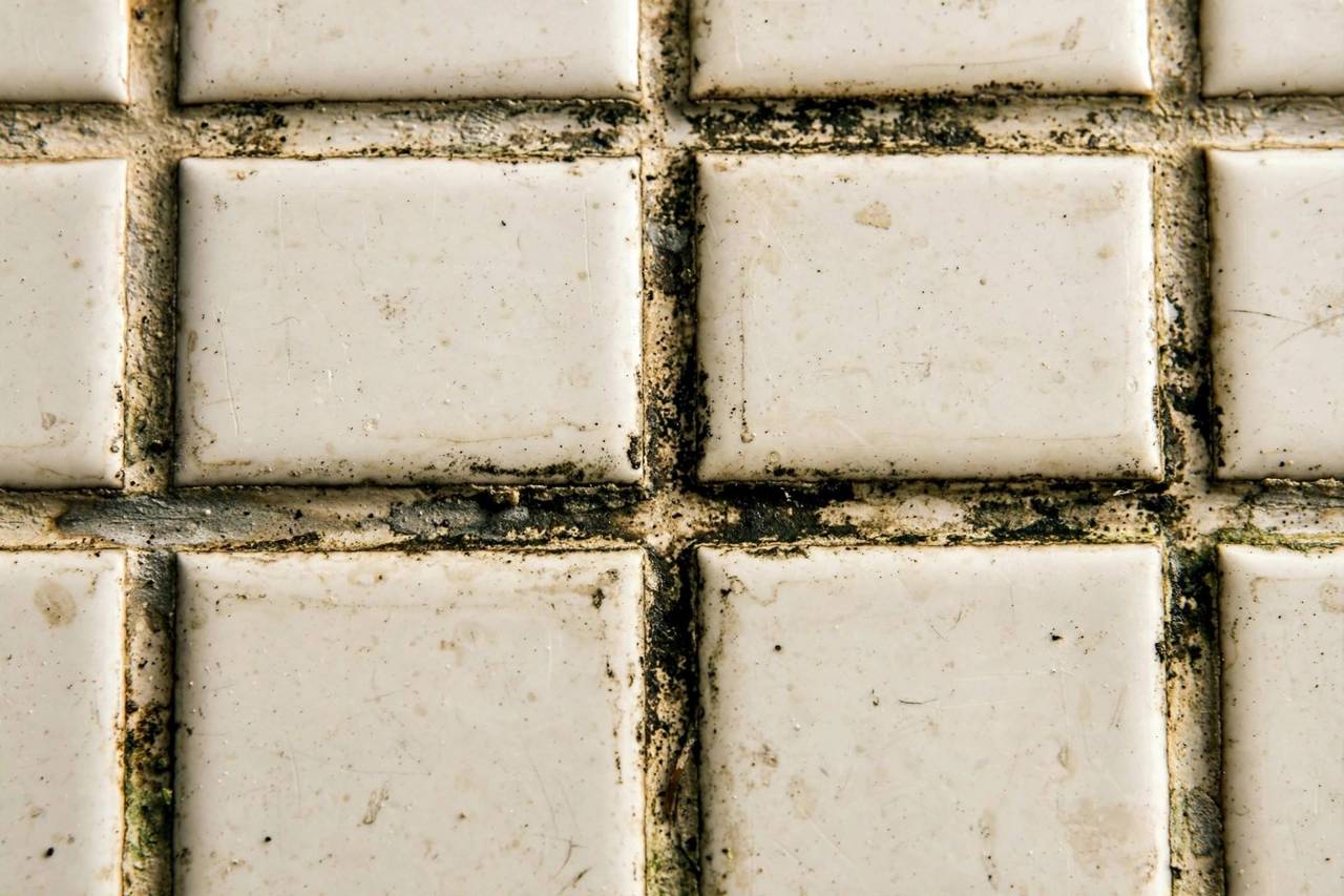 Close-up of discolored grout lines between tiles