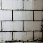 How to Clean Shower Grout Lines That Have Gone Black Shower tile wall with dark discolored grout lines