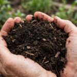 How to Compost at Home: The Beginner's No-Smell, No-Stress Guide Finished compost soil in hands after learning how to compost at home