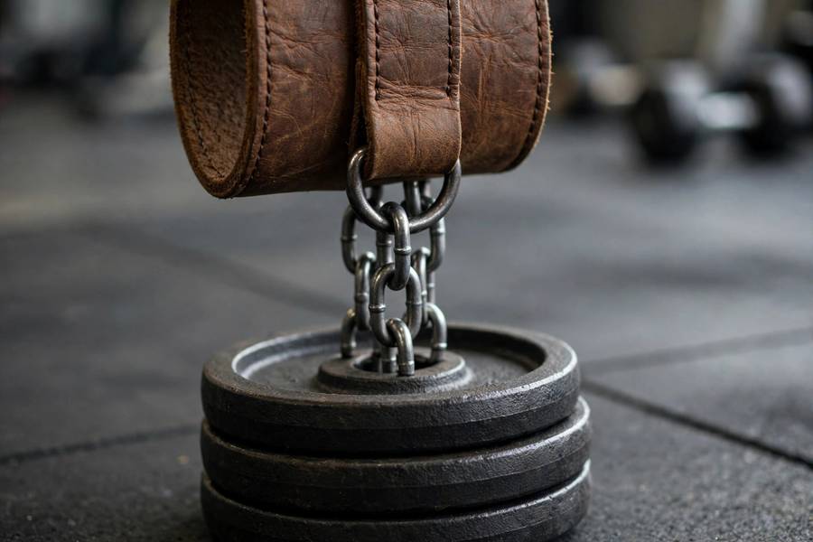 Close-up of a dip belt loaded with weight plates for weighted pull-ups