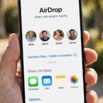 How to Use AirDrop: The Complete Guide for iPhone, iPad, and Mac iPhone share sheet showing how to use AirDrop to send files