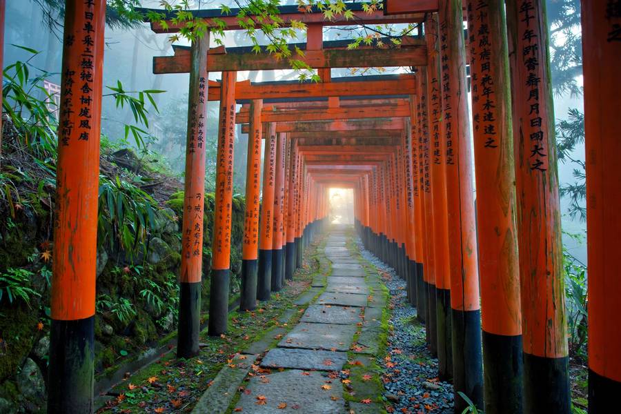 Kyoto Fushimi Inari torii gates at dawn empty