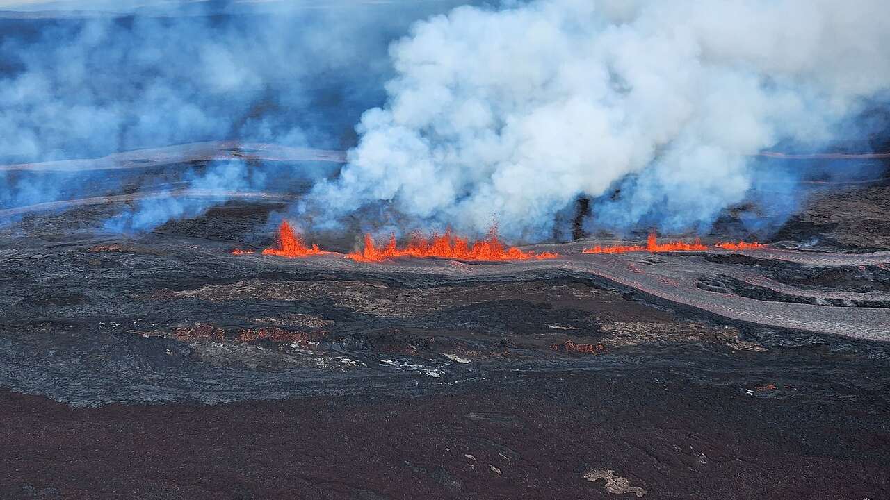 A line of lava fountains erupting along Mauna Loa's Northeast Rift Zone in November 2022
