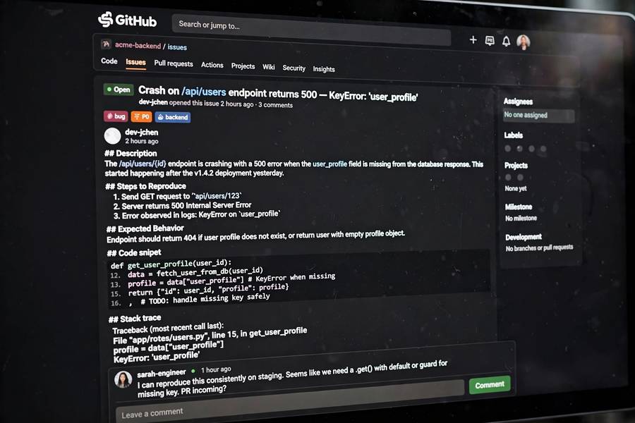 GitHub issue with a bug report like the real-world tasks used in SWE-bench
