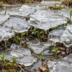 What Ended the AI Winter? The Three Turning Points Melting ice revealing new growth symbolizing what ended the AI winter