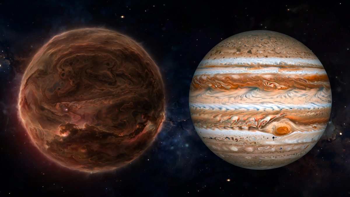 comparison illustration of a brown dwarf next to Jupiter