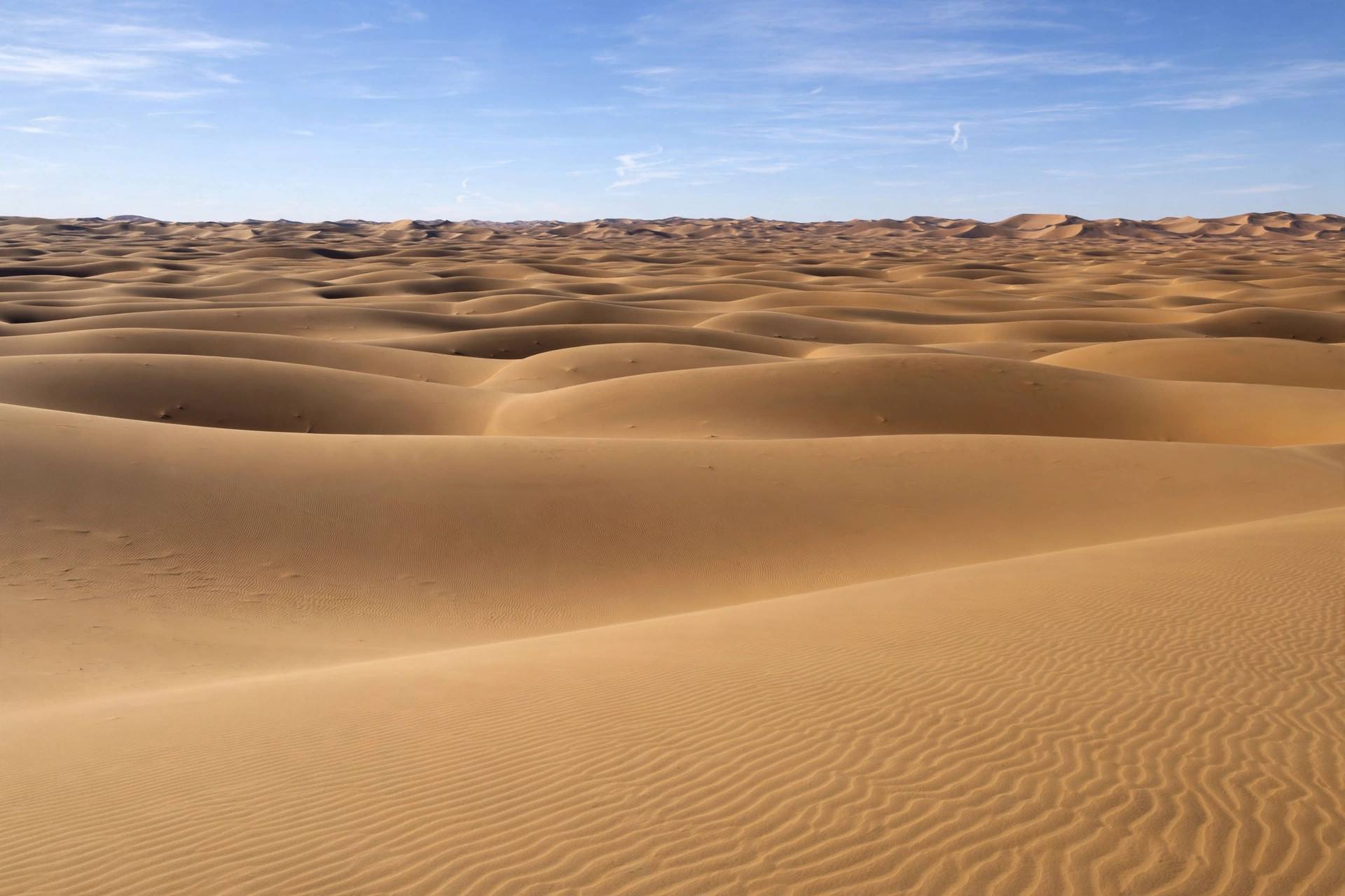 Sahara desert sand dunes stretching to the horizon under blue sky