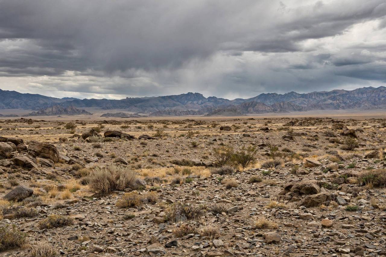 Rocky Gobi desert plain with distant mountains under dramatic clouds