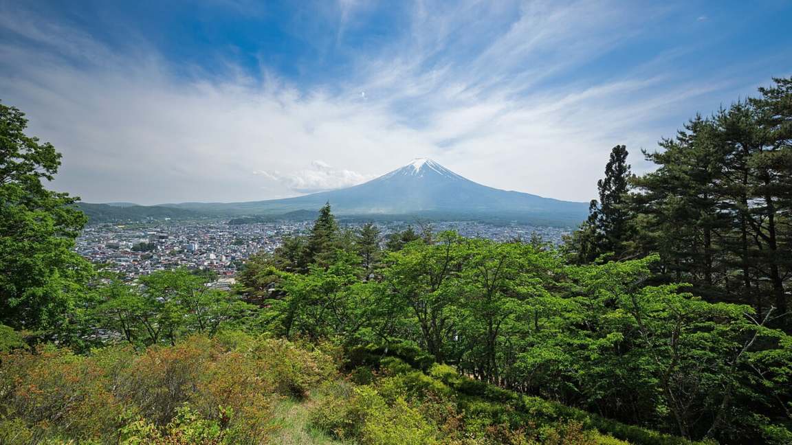 Snow-capped Mount Fuji rising above a town and green forest in Japan